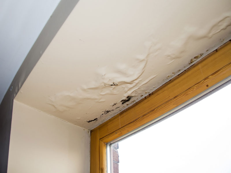 How Condensation Can Mimic Commercial Roof Leaks