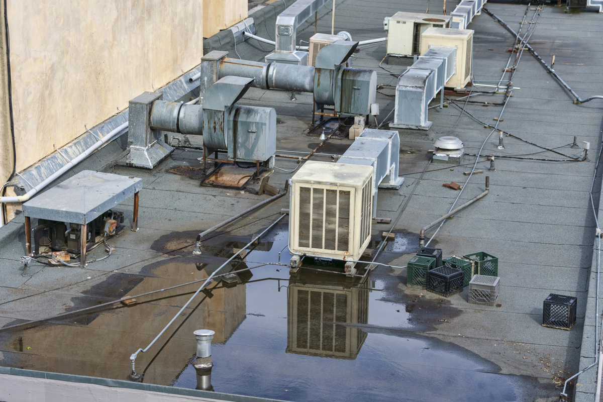 Commercial Roof Damage: It Could Be Your Biggest Expense in 2024