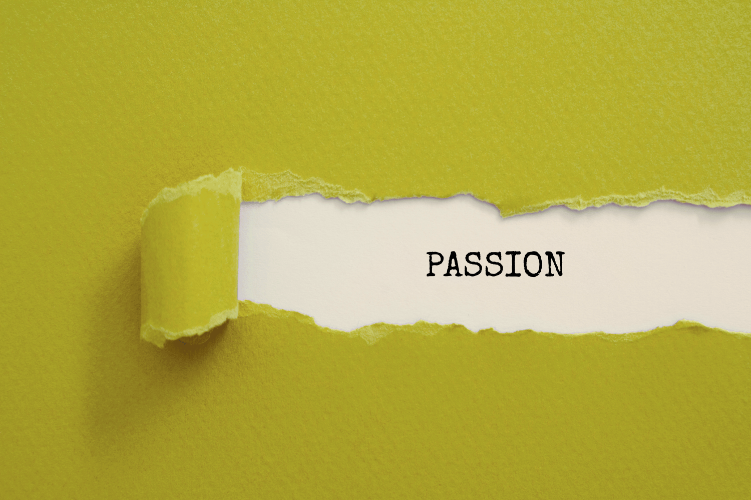 Passion in Commercial Roofing: How Mint Roofing Delivers Better Roof Performance